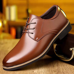 Williams Darwin Shoes